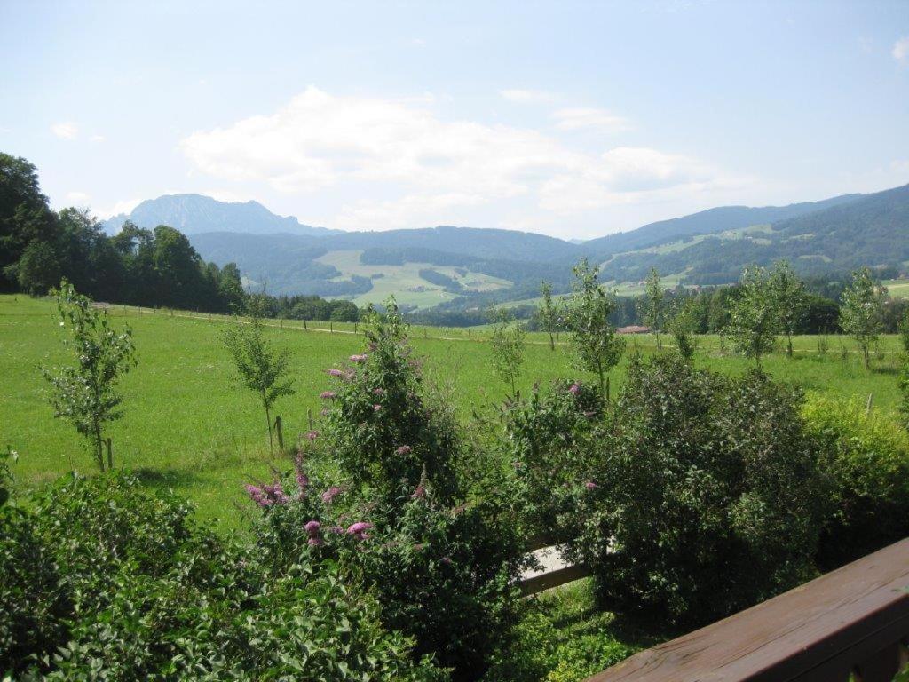 Obermoarhof Appartement Anger Buitenkant foto